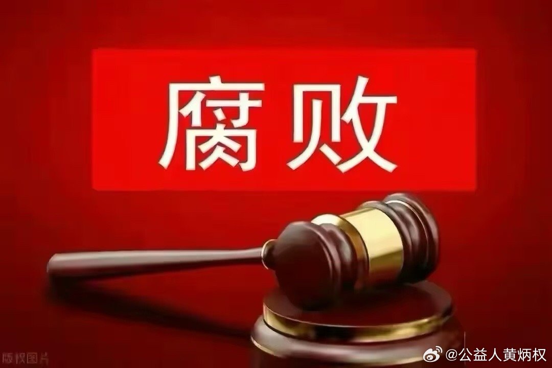 我国原现任村支书村主任被立案情况的深度探讨