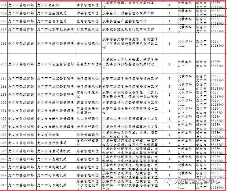 公务员招录职位表深度解读与分析