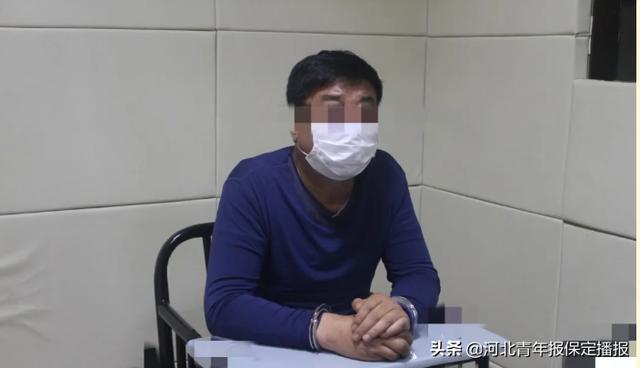 男子骗取430余万揭示金融欺诈真相与教训，公诉背后的警示与反思