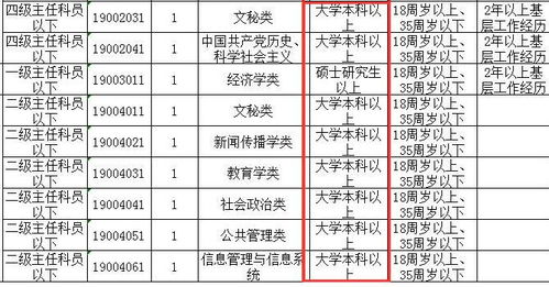 二本学历不建议考公务员的原因深度解析