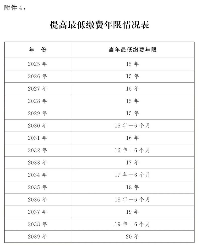 年龄放宽政策的深度探讨