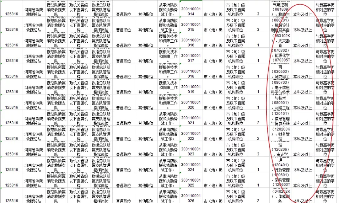 大专限定公务员职位的深度探究与解析