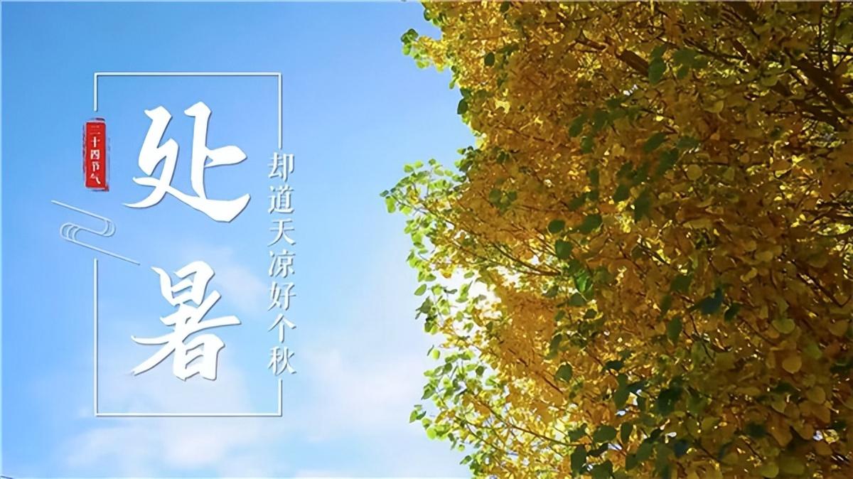 林中有鹿 第20页