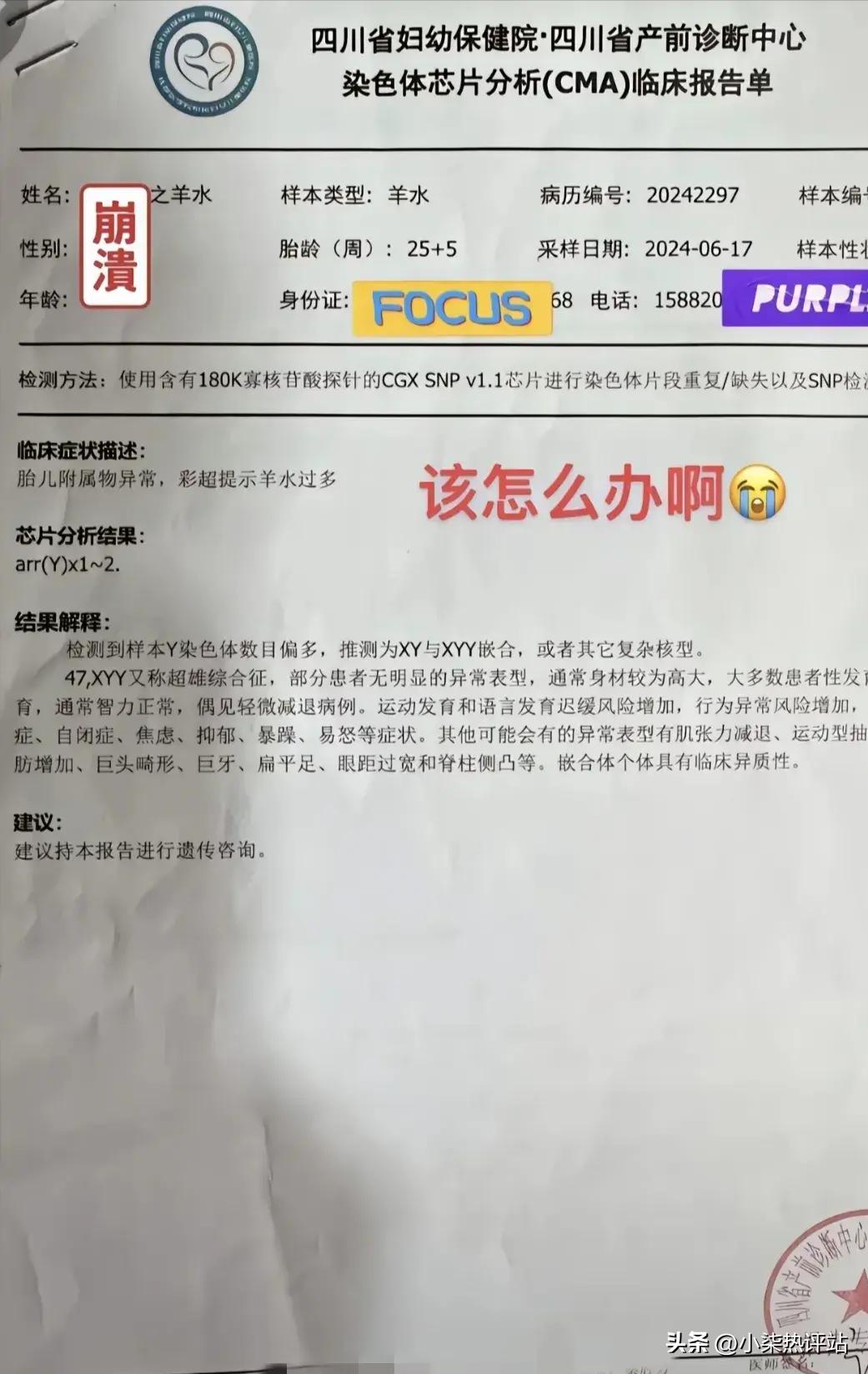 超雄综合症与嵌合体现象的深度探究