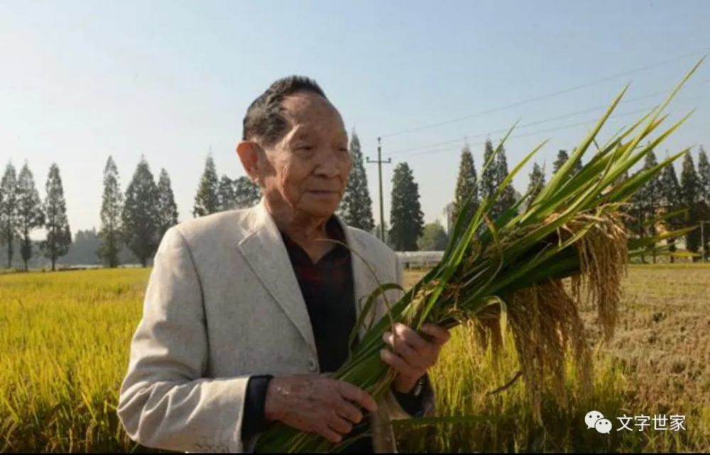 袁隆平，稻田骄子，国士无双