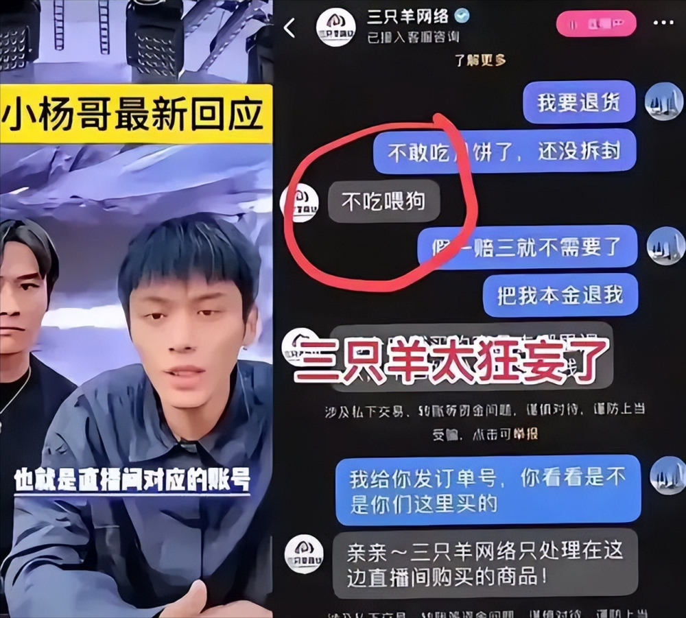 小杨哥告别直播，感悟与回忆的最后一幕