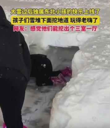 奇迹背后的故事，东北小孩大雪后挖出三室一厅的奇迹之旅