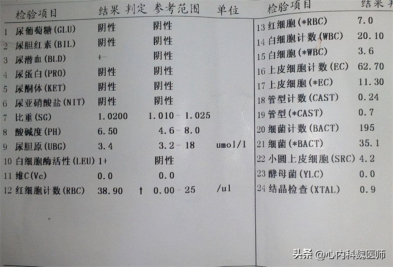 守护健康的五大关键，体检必检的五个项目全解析