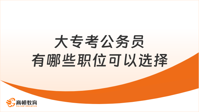 大专生报考公务员的资格与路径探讨，能否实现公务员梦想？