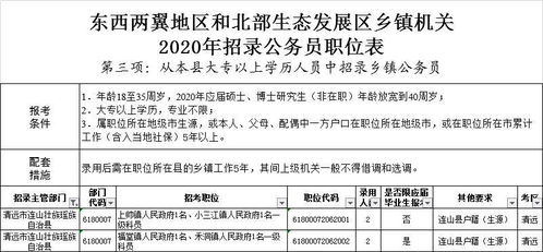 公务员考试录取规则，平衡公平、公正与效率的艺术之道