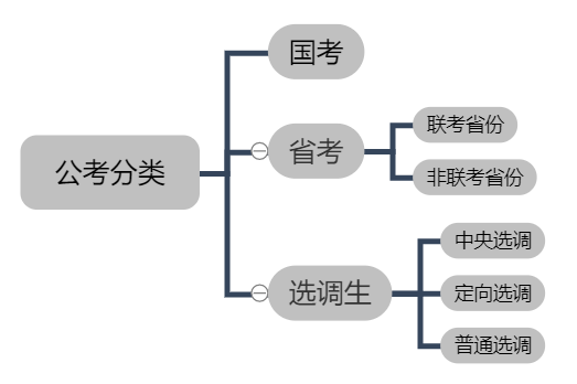 考公务员的多元途径探索