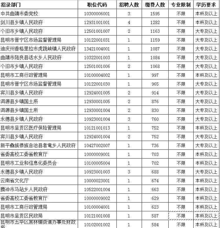 公务员技术岗面试解析与策略探讨