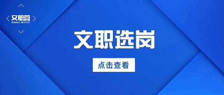 公务员考试报考全攻略指南