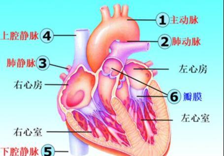 公务员必备常识详解800条